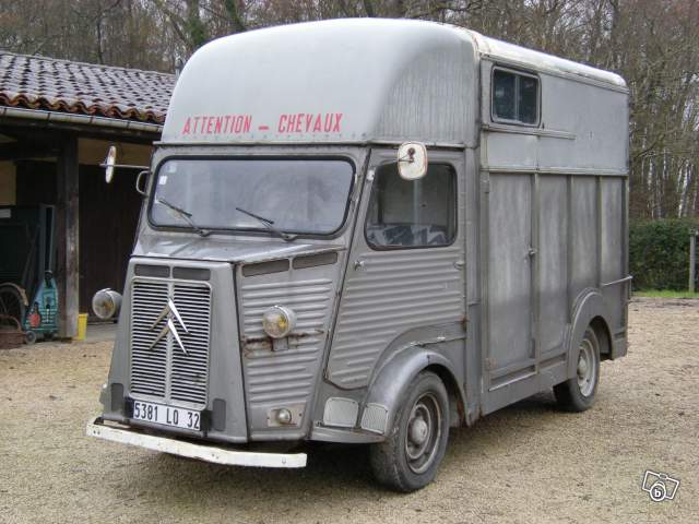 3014672176.jpg