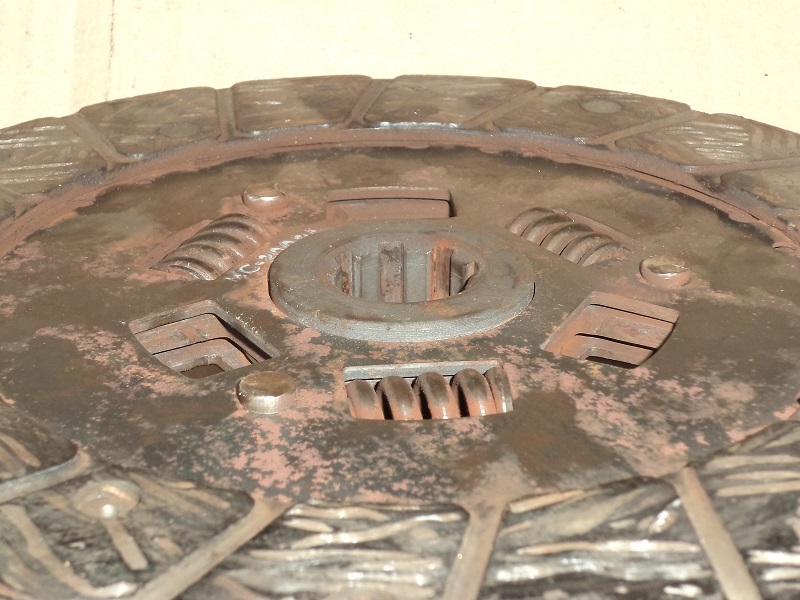 DSC01502-klein.jpg