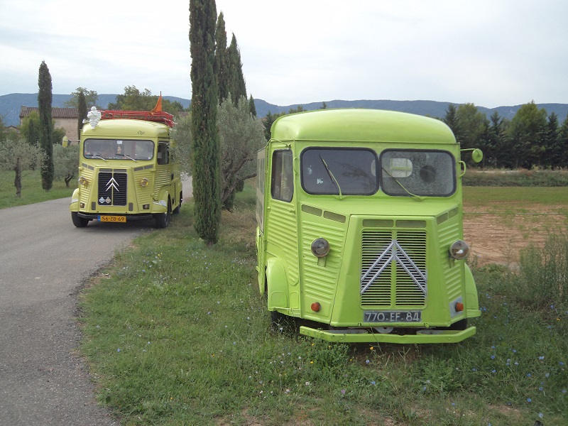 DSC01579-k.jpg