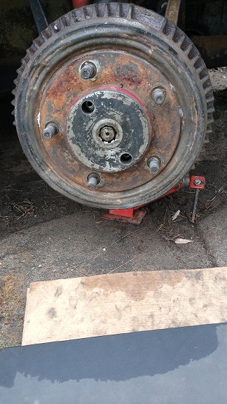 IMG_20260213_121835_618 klein.jpg